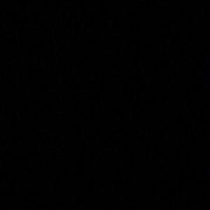 Meet your Posher, Reilly